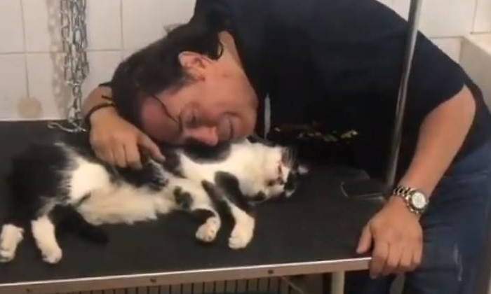 pipi-estrada-gato-trapito-770.jpg