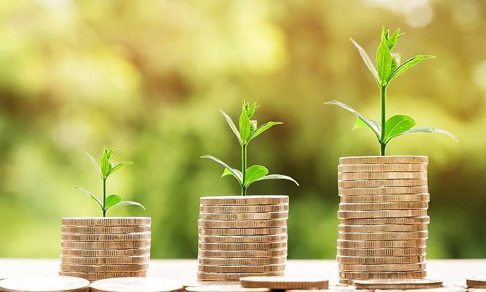 inversion-dinero-crecimiento-pixabay-770x420.jpg