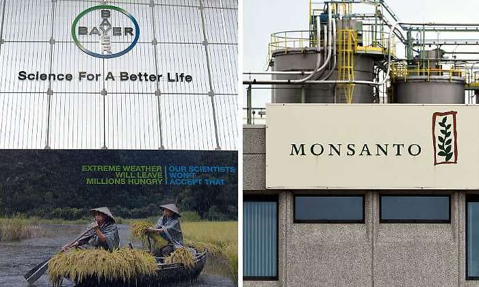 Bayer-Monsanto-Getty.jpg