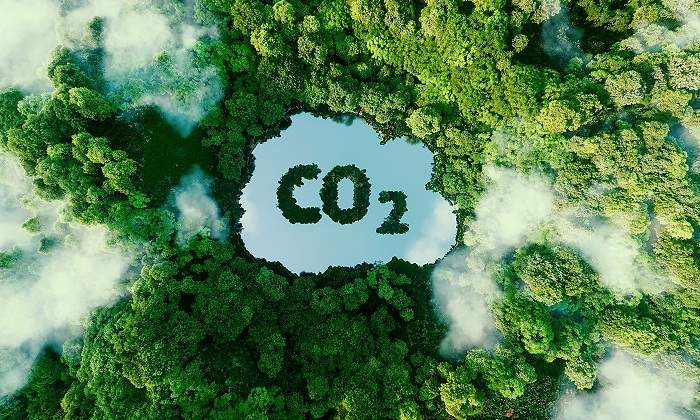 CO2-medio-ambiente.jpg