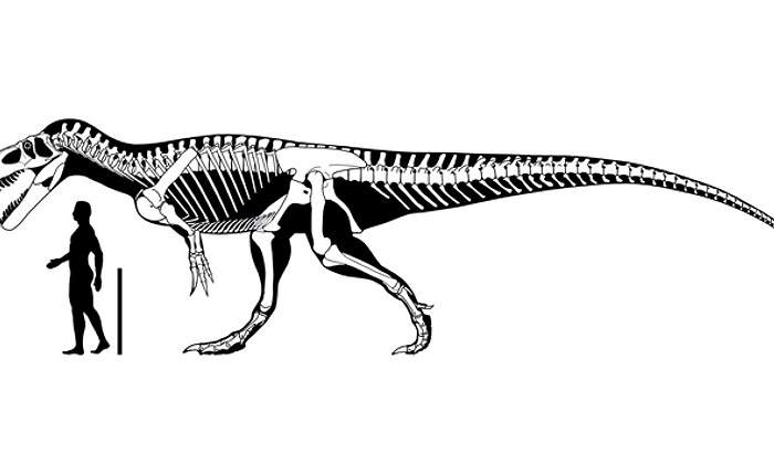 dinosaurios-huellas-asturias.jpg