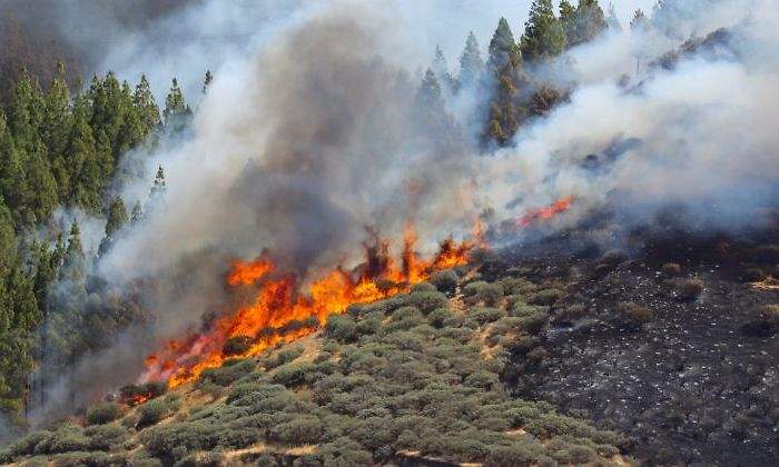 incendio-artenara-canarias-2019-efe.jpg