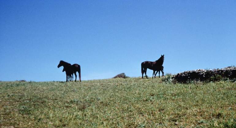 Camí de Cavalls 