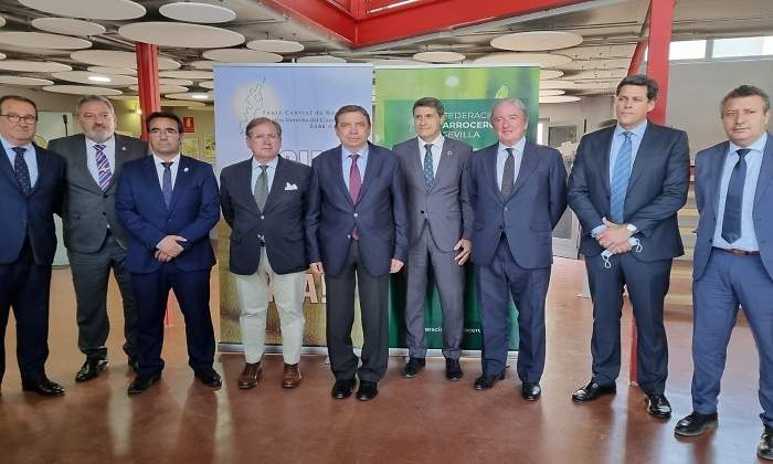 planas-arroceros.jpg