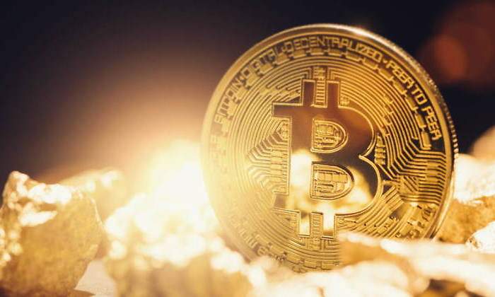 bitcoin-tulipan.jpg