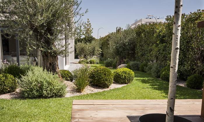 770x420-jardin-estudio-dani-valera-jardin.jpg
