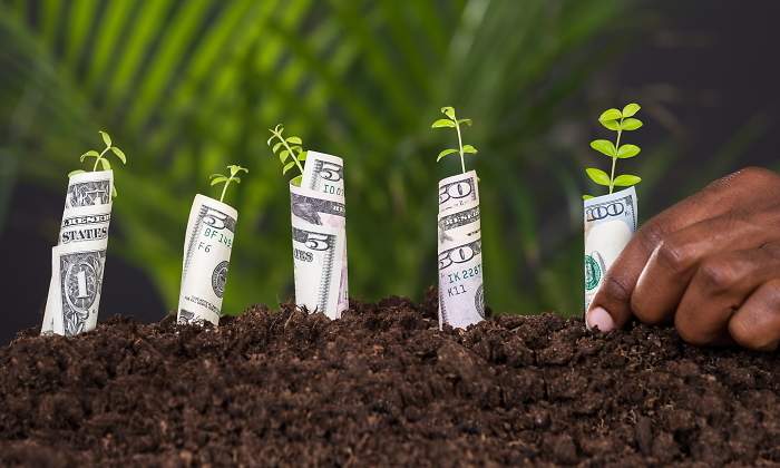 diversidad-capital-dreams.jpg