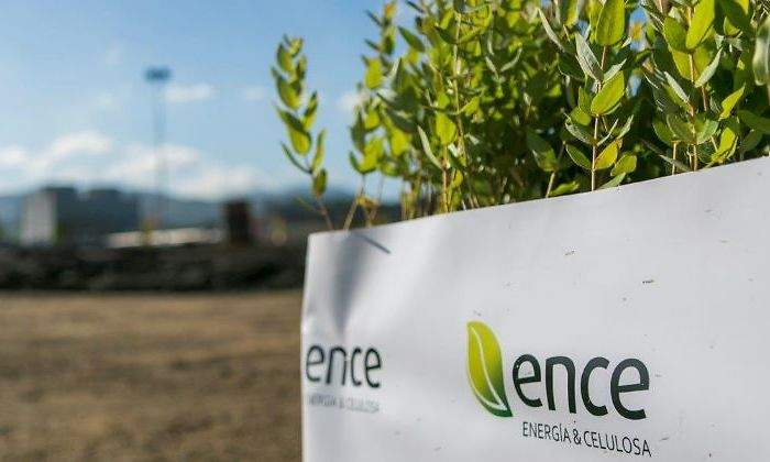 ence-plantas-770.jpg