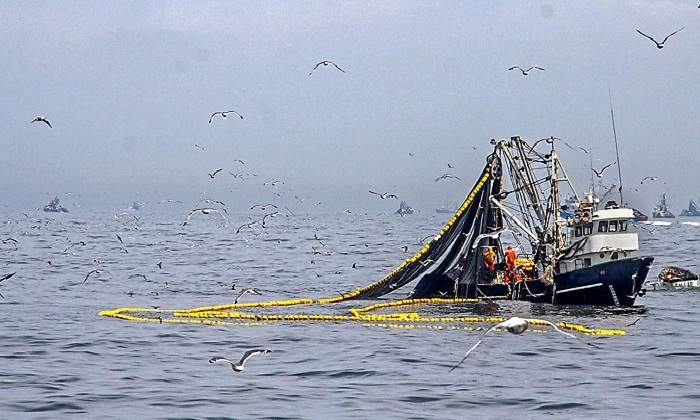 pesca770_420_1.jpg