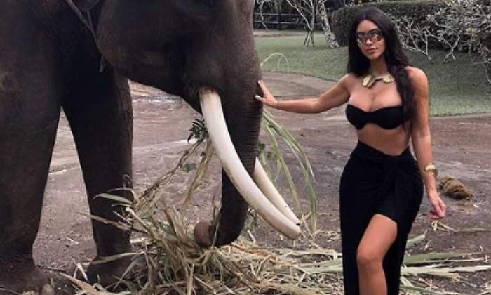 kim-elefante-2-770.jpg