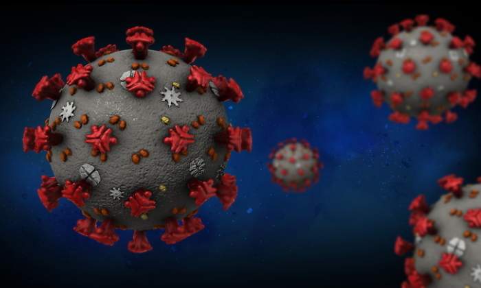 Representacin 3D del coronavirus
