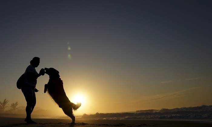 perro-dueno-pelota-reuers.jpg