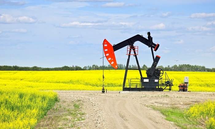 petroleo-martillo-campo.jpg