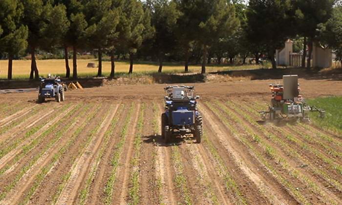 sector-agrario.jpg