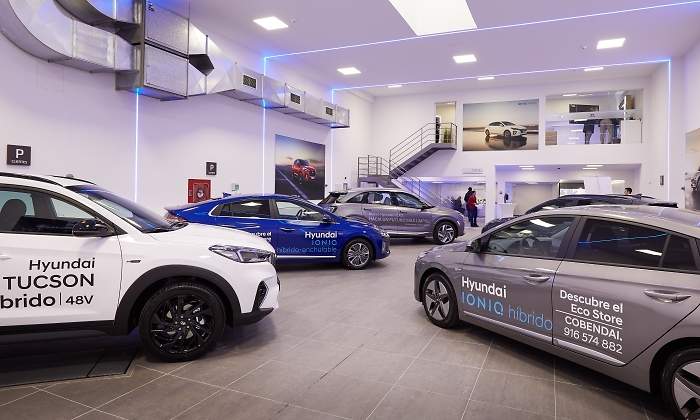 hyundai-ecostore.01.jpg