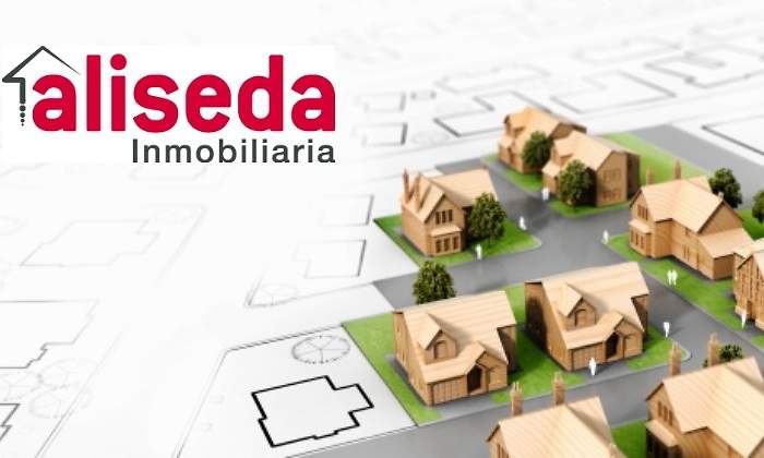 aliseda.jpg
