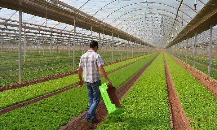 agricultura-tecnologia.jpg