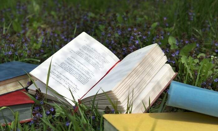 libro-tumbado-en-la-hierba.jpg