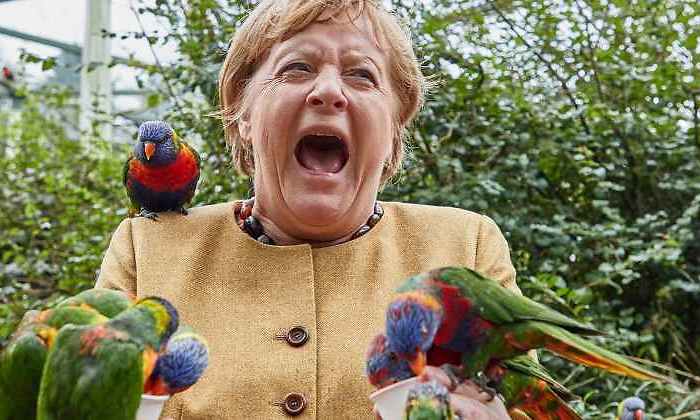 merkel-loro-770-1-1-11.jpg