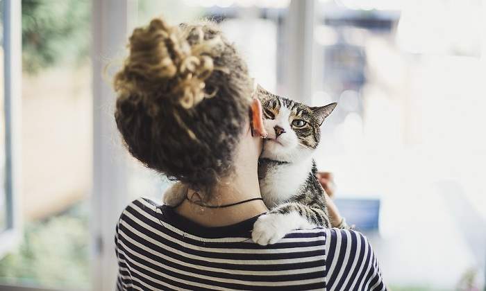 Coger-gato.jpg