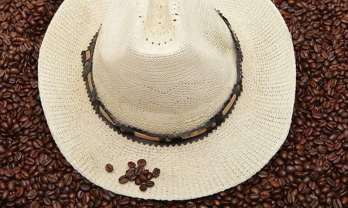cafe-panama-dreamstime.jpg