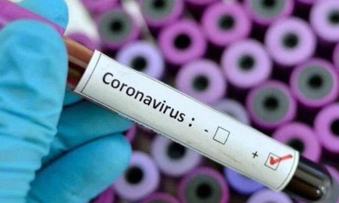 coronavirus-2-770-420.jpg