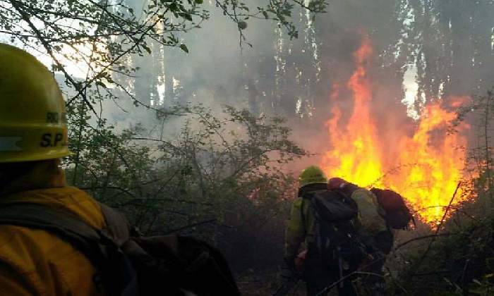 incendio El Bolsn