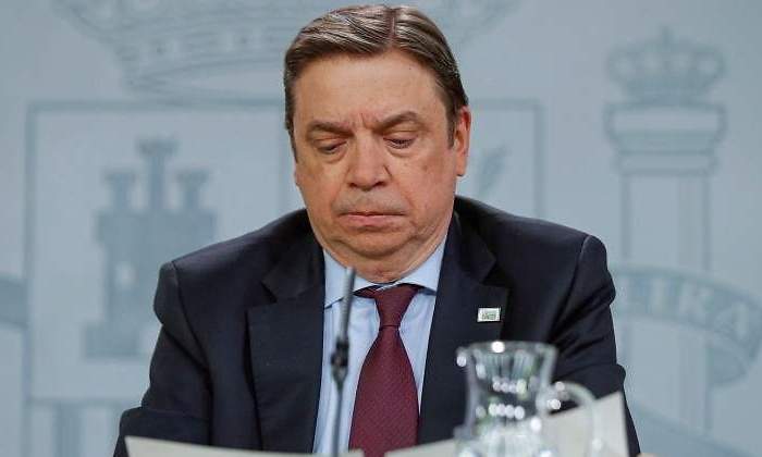 Planas-consejo-ministros-4febrero-770x420.jpg