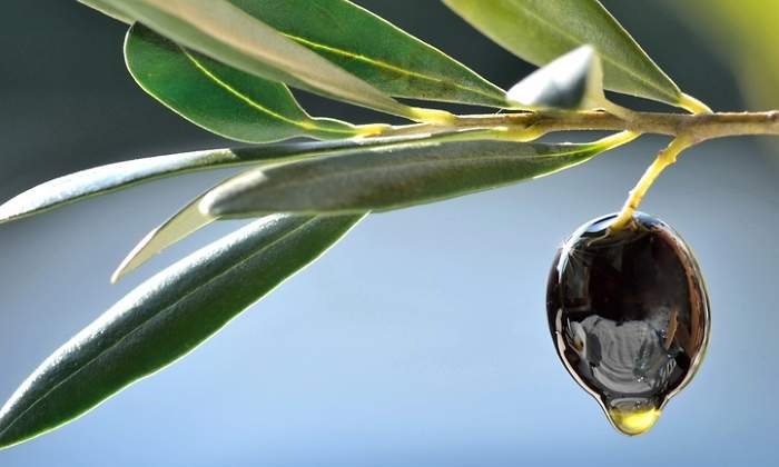 aceituna-negra-aceitosa-dreamstime.jpg