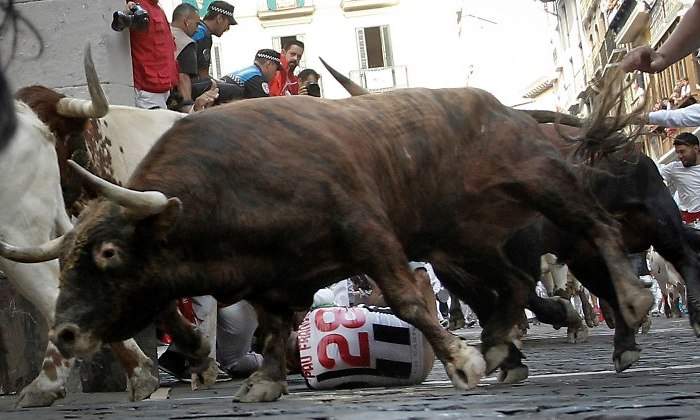 encierro-sanfermin-2019-toro-efe.jpg