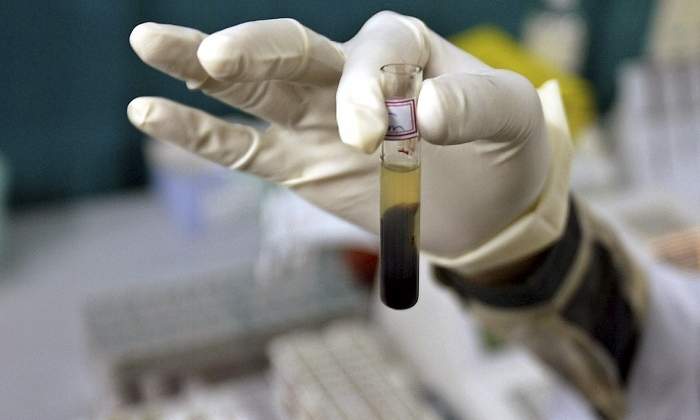 testacin animal en laboratorios