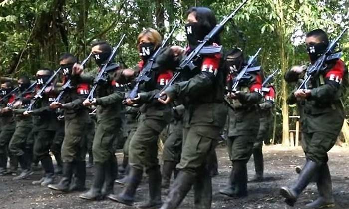 eln armasjpg