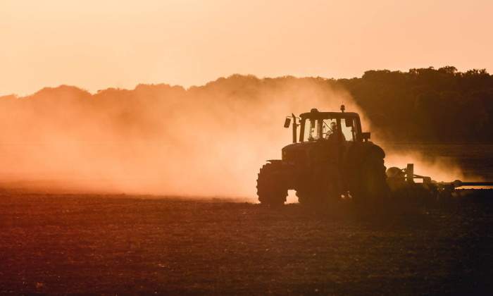 agricultor-espana-campo.jpg
