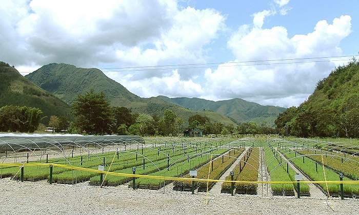 riego770.jpg