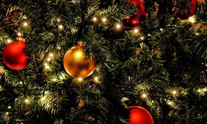 Luces-de-navidad-mycurlyphotography.jpg