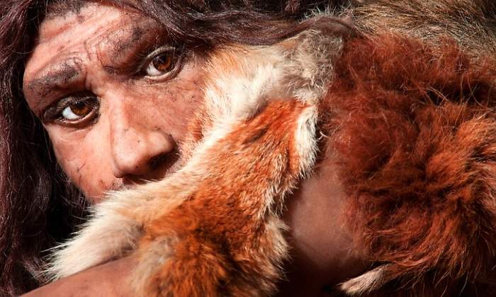 neandertal.jpg