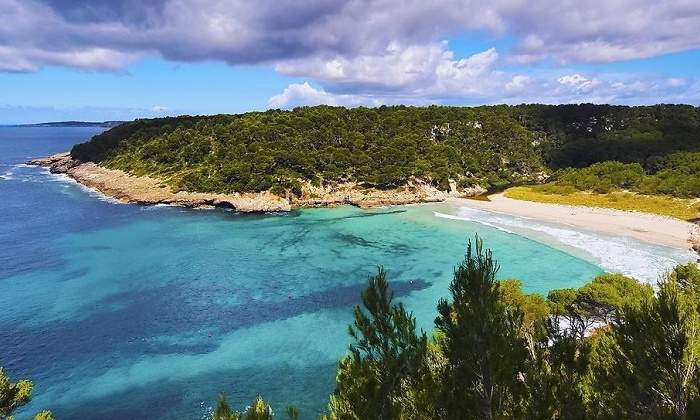 calas-770.jpg