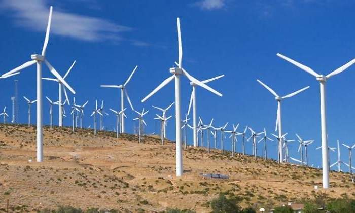 energa elica