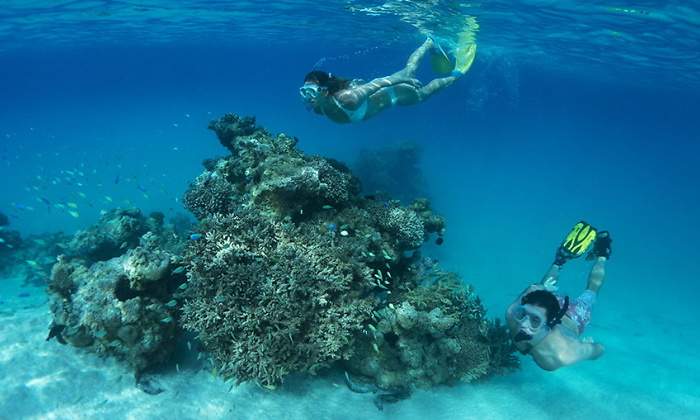 islas-cook-buceo.jpg