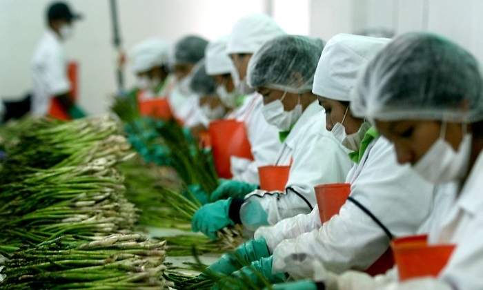 Agroexportacin