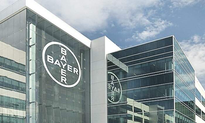 bayer.jpg