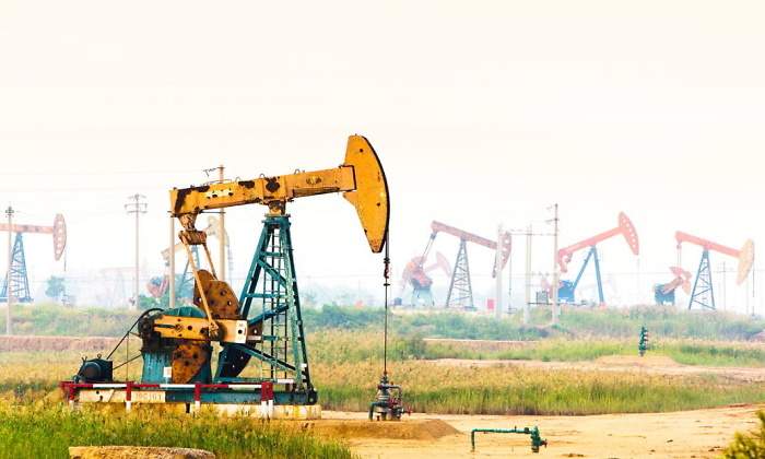 campo-petroleo-bruma.jpg
