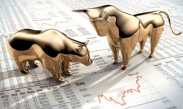 bolsa-toro-oso-dorado-general-dreams.jpg