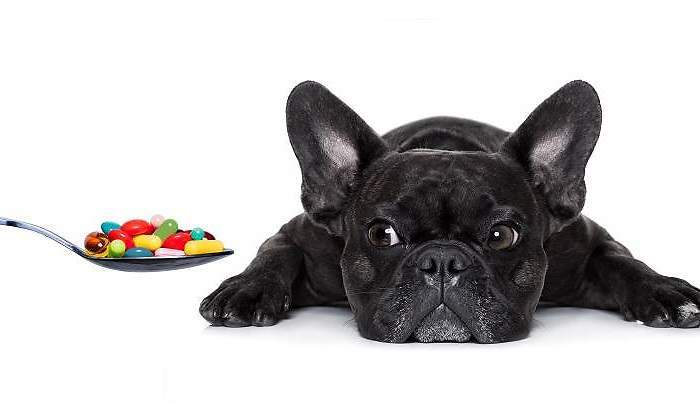 iStock-501944530.jpg