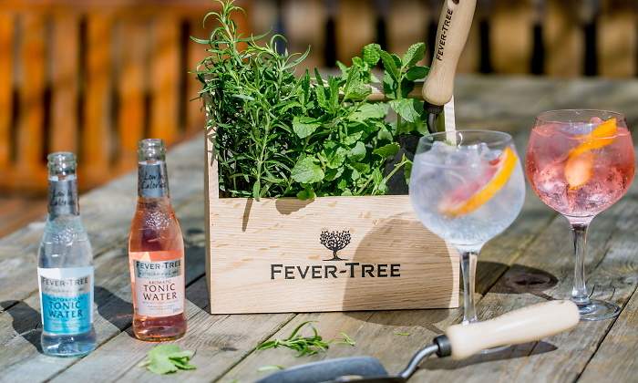 fever-tree-1.jpg