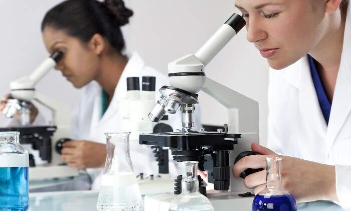 observando-a-traves-del-microscopio.jpg