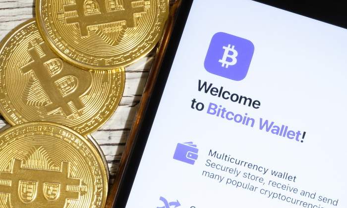 bitcoin-wallet-billetera-dreamstime.jpg