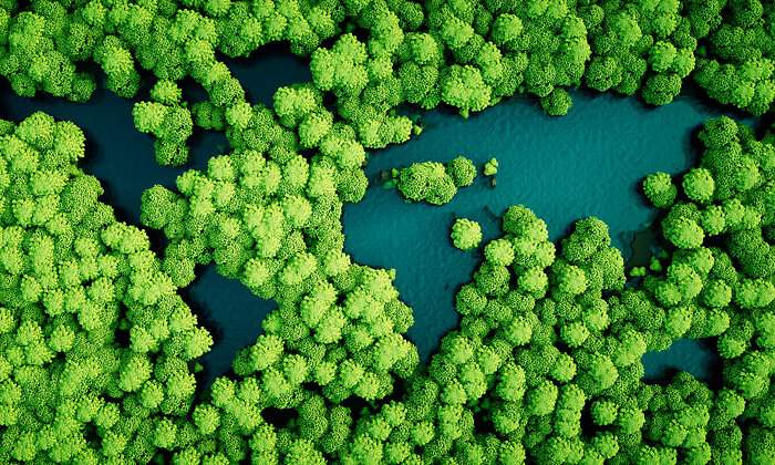 bonos-verdes-istock-770.jpg