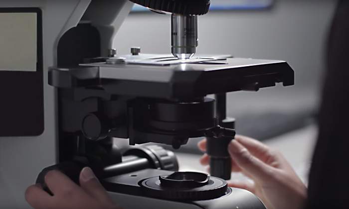 microscopio-google.jpg