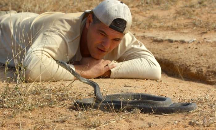 wild-frank-mamba.jpg